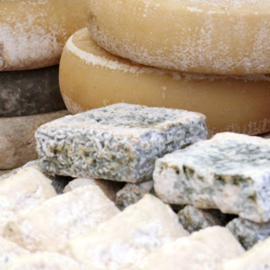 fromages italiens au lait de chèvre ou de brebis